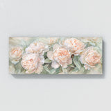 Peonie Peony Serenity 10