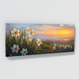 Daffodil Dewy Dawn Blossoms 3