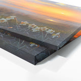 Daffodil Dewy Dawn Blossoms 3