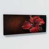 Hibiscu Crimson Elegance 2