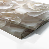 Gardenia Cinematic 16