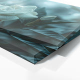 Gardenia Dreamlike 17