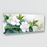 Gardenia Dreamy 5
