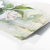 Gardenia Dreamy 5