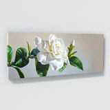 Gardenia Modern Elegance 20