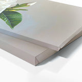 Gardenia Modern Elegance 20