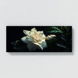 Gardenia Night Whispers 18