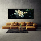 Gardenia Night Whispers 18