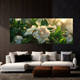 Gardenia Twilight Bloom 12