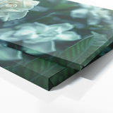 Gardenia Twilight Bloom 13