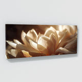 Magnolia Shadows Cinematic 18