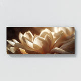 Magnolia Shadows Cinematic 18