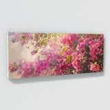 Bougainvillea Brilliance 8