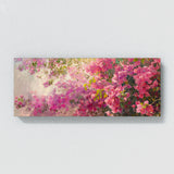 Bougainvillea Brilliance 8