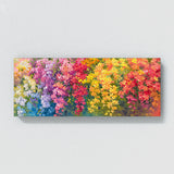 Bougainvillea Cascading Blooms 6