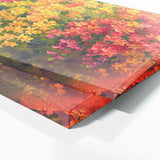 Bougainvillea Cascading Blooms 6