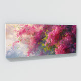 Bougainvillea Dreamy Bliss 16