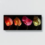 Bougainvillea Enigmatic Floral 18