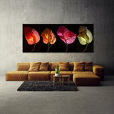 Bougainvillea Enigmatic Floral 18