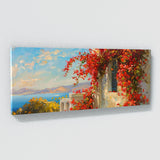 Bougainvillea Mediterranean Blooms 9