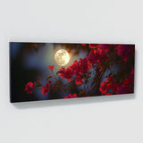 Bougainvillea Moonlit 20