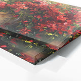 Bougainvillea Timeless Garden 4