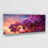 Bougainvillea Twilight Romance 17