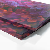 Bougainvillea Twilight Romance 17