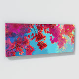 Bougainvillea Virtual Bloom 24