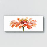 Zinnia Lone Bloom 19