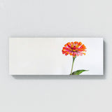 Zinnia Radiant Bloom 13