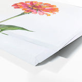 Zinnia Radiant Bloom 13