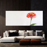 Zinnia Radiant Bloom 13