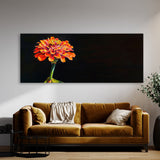 Zinnia Radiant Contrast 5