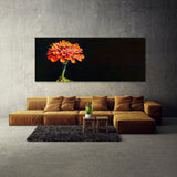 Zinnia Radiant Contrast 5