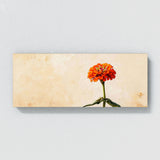 Zinnia Stylized Minimalism 30