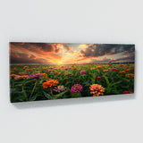 Zinnia Sunset Meadow 27