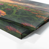 Zinnia Sunset Meadow 27