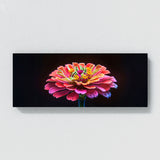 Zinnia Vivid Drama 24