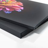 Zinnia Vivid Drama 24