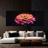 Zinnia Vivid Drama 24