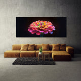 Zinnia Vivid Drama 24