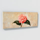Camellia Timeless 5