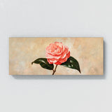 Camellia Timeless 5