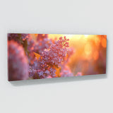 Lilac Sunset Radiance 25