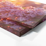 Lilac Sunset Radiance 26