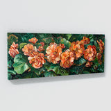 Begonia Lush Beauty 2