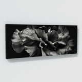 Begonia Monochrome Elegance 12