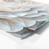 Begonia Monochrome Essence 14