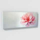 Begonia Whispering Floral Hues 6